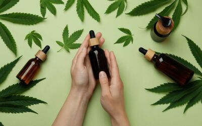 CBD Öl bei Schlafproblemen: Einschlafen ohne Tabletten – Was wirklich hilft