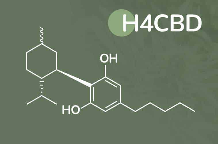 H4CBD: Wirkung, Vorteile und rechtliche Situation – Alles, was Sie wissen müssen