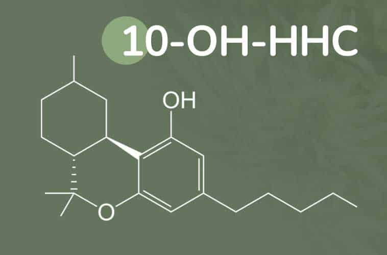 10-OH-HHC: Ein umfassender Leitfaden zu Wirkung, Herstellung, Formen und Legalität