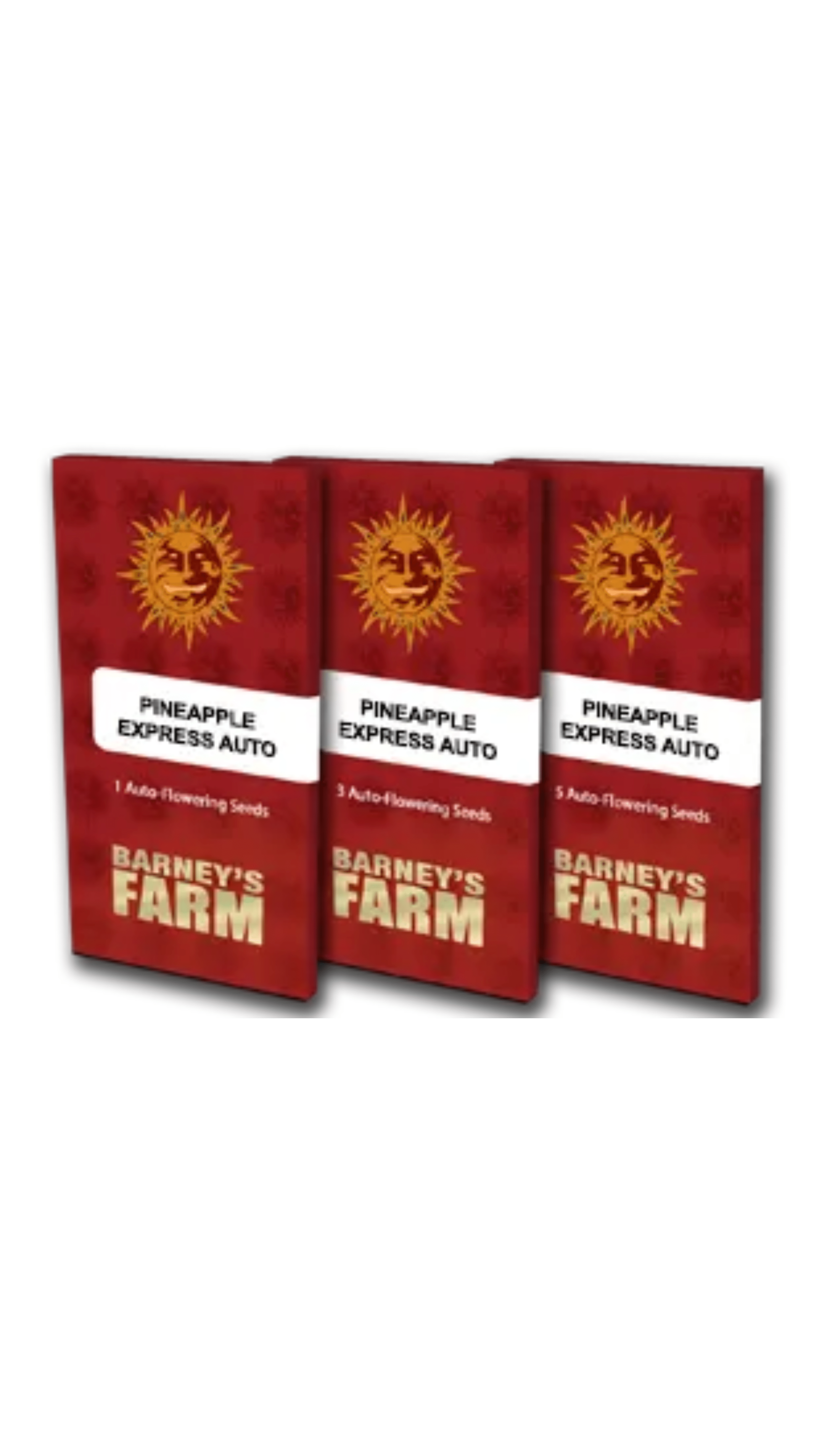 Barney's Farm - Pineapple Express AUTO (3er Pack) – Bild 2