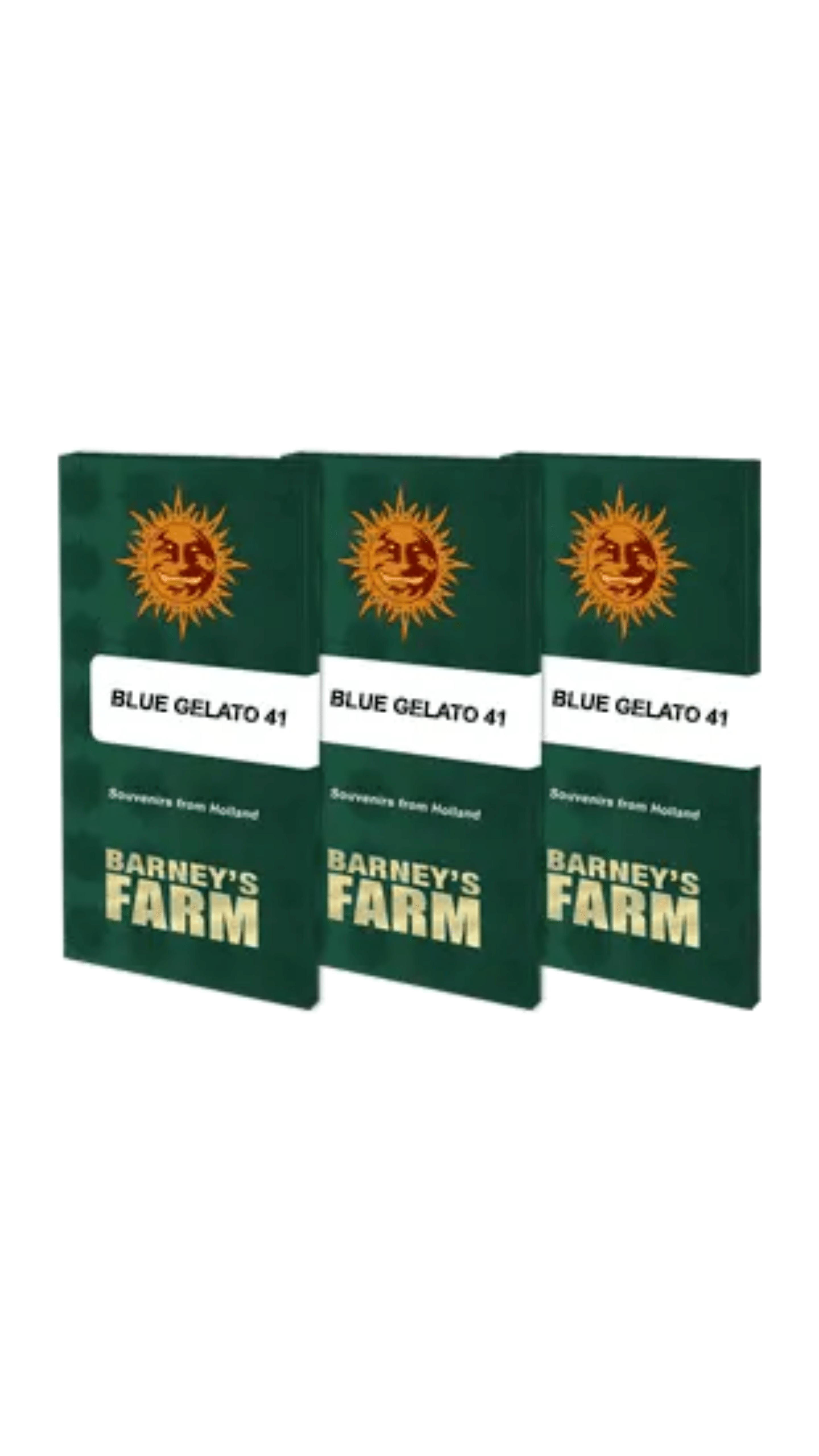 Barney's Farm - Blue Gelato 41 FEM (3er Pack) – Bild 2