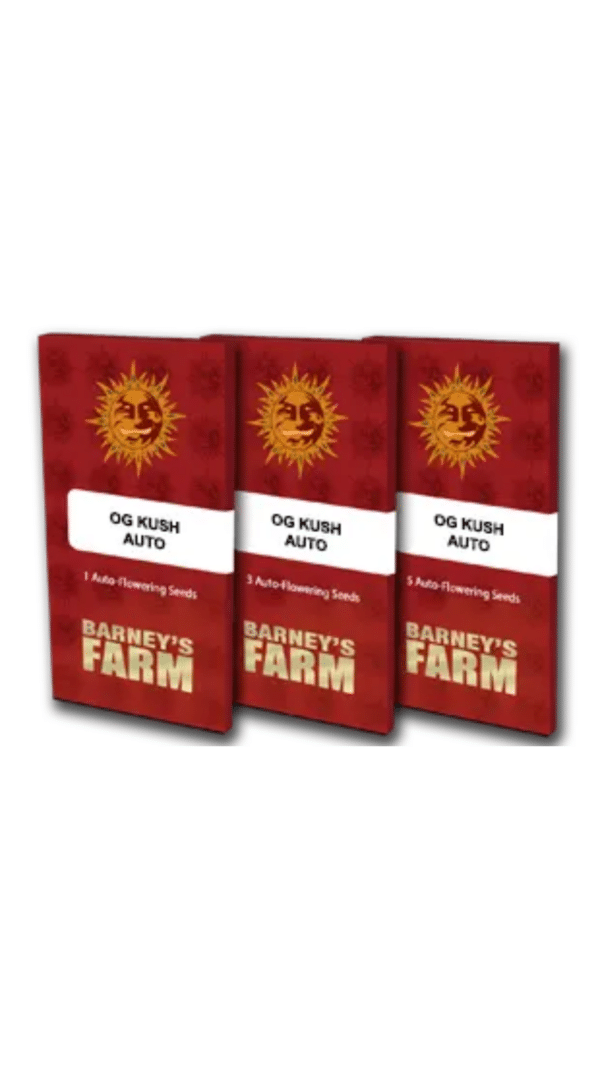 Barney's Farm - OG Kush Auto (3er Pack) – Bild 2