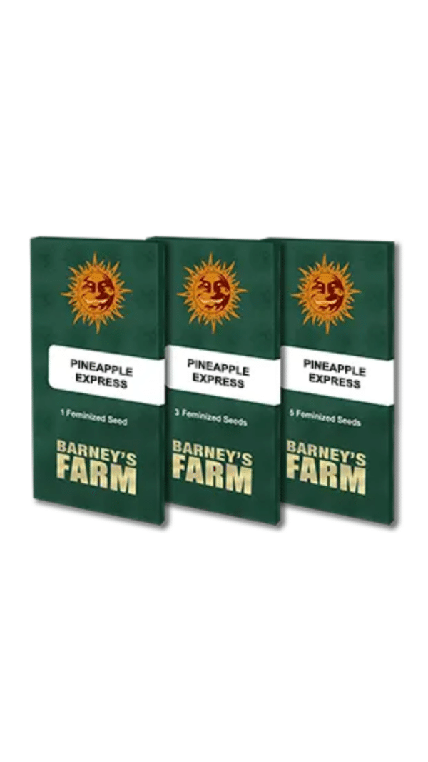 Barney's Farm - Pineapple Express FEM (3er Pack) – Bild 2