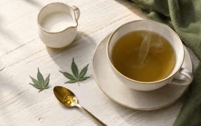 CBD Tee zubereiten: Wirkung und Tipps