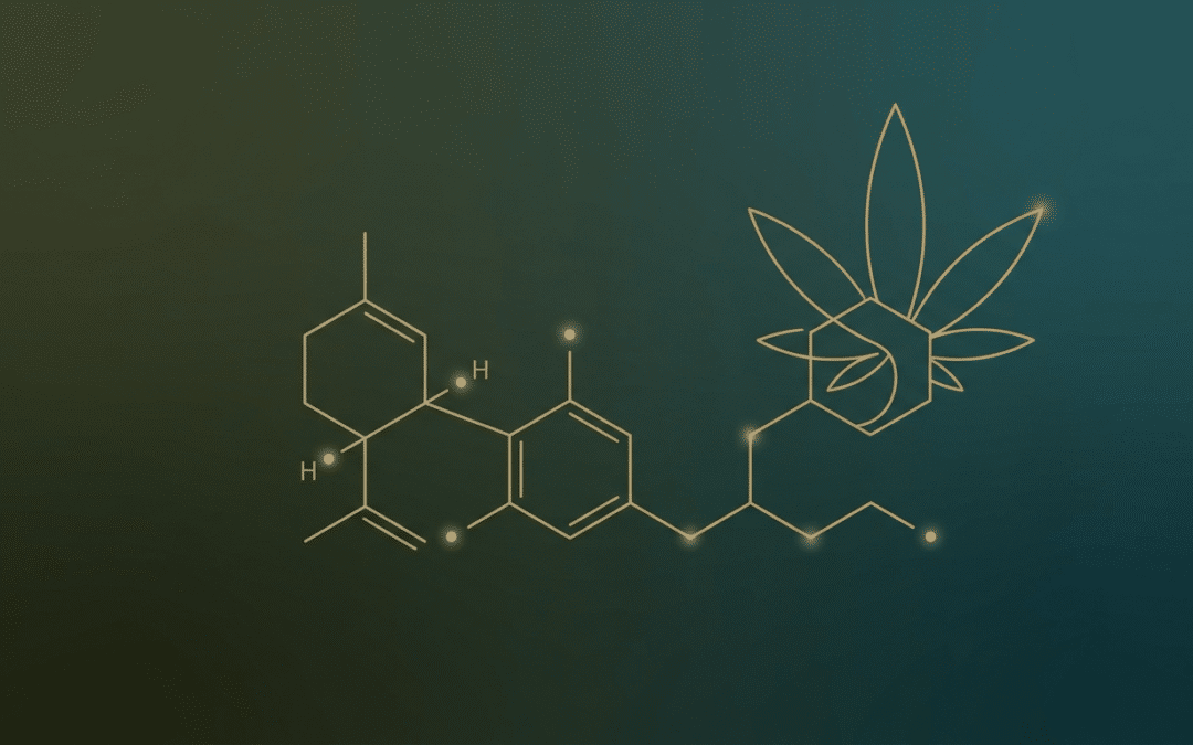 Abstrakte Molekuelstruktur in Gold auf dunkelgruenem Verlauf, ein Hexagon wird zum Hanfblatt