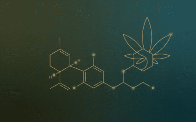 H4CBD: Was steckt hinter dem hydrierten CBD? Einordnung und Rechtslage