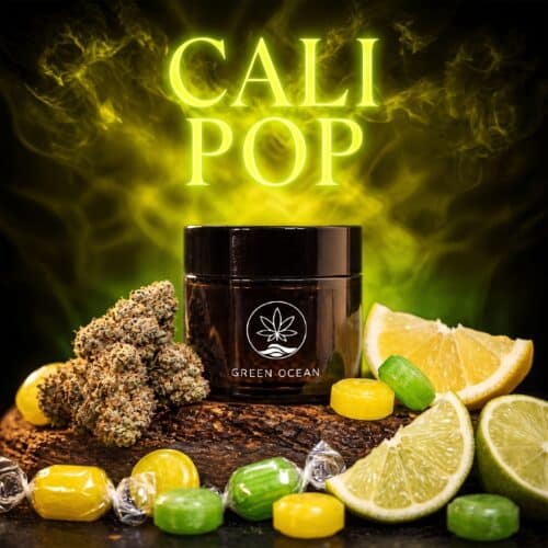 Cali Pop CBD-Blüten im Green Ocean Glas mit Zitrusbonbons