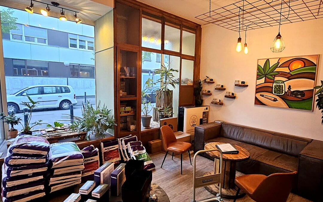 Sitzbereich im Green Ocean CBD Shop in Zweibrücken, rund 15 Minuten von Homburg entfernt