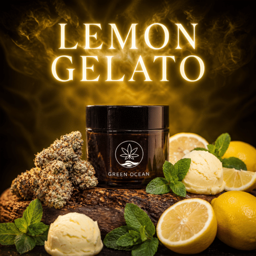Lemon Gelato CBD-Blüten Nahaufnahme im Green Ocean Glas