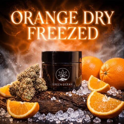Orange Dry Freezed gefriergetrocknete CBD-Blüten im Green Ocean Glas