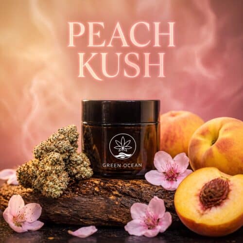 Peach Kush CBD-Blüten im Green Ocean Glas mit Pfirsichen