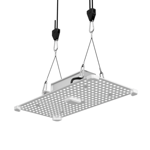 LUMii Black Blade 100 W LED Pflanzenlampe