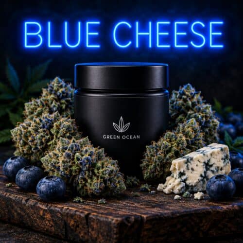Blue Cheese CBG9 bei Green Ocean