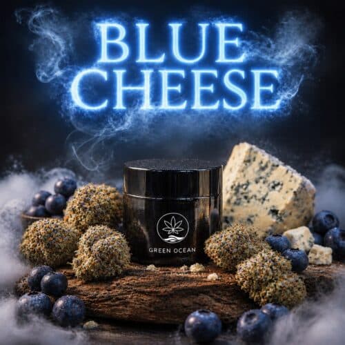 Blue Cheese CBG9 Blüten im Green Ocean Döschen