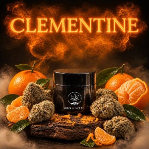 Clementine CBG9 Blüten im Green Ocean Döschen