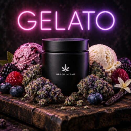 Gelato H3 bei Green Ocean