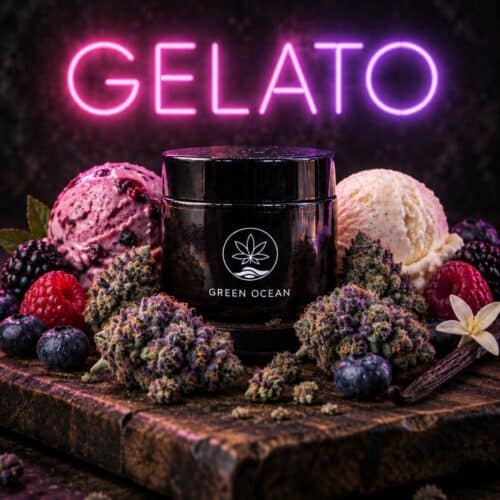 Gelato H3 Blüten im Green Ocean Döschen