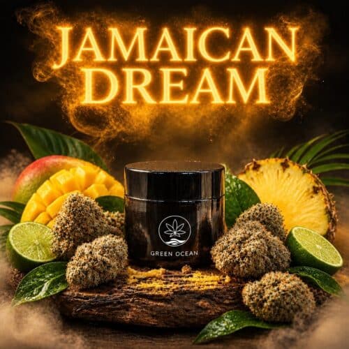 Jamaican Dream CBG9 Blüten im Green Ocean Döschen