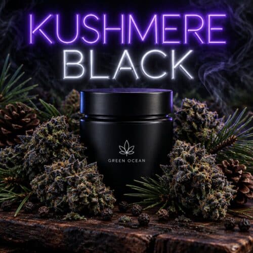 Kushmere Black eXtra CBG9 bei Green Ocean