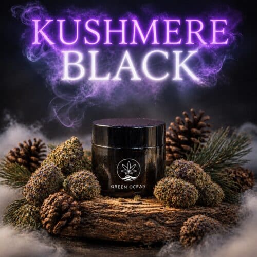 Kushmere Black eXtra CBG9 Blüten im Green Ocean Döschen