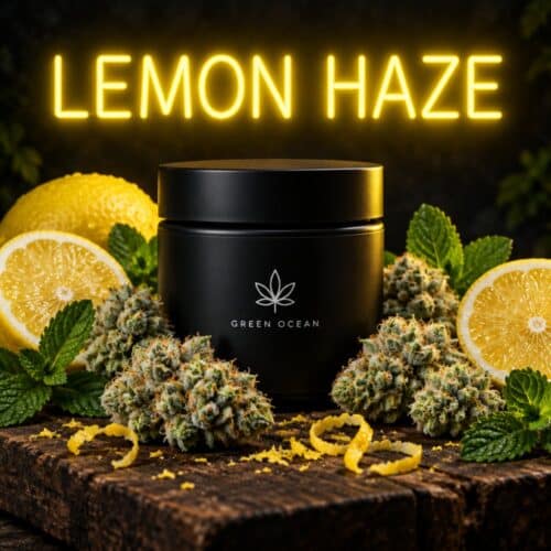 Lemon Haze CBG9 bei Green Ocean