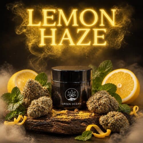 Lemon Haze CBG9 Blüten im Green Ocean Döschen
