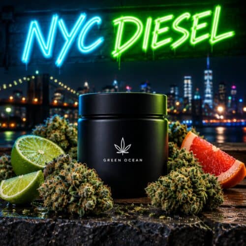 NYC Diesel CBG9 bei Green Ocean