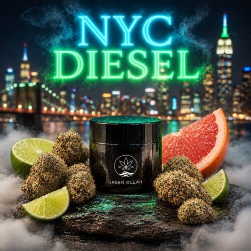NYC Diesel CBG9 Blüten im Green Ocean Döschen