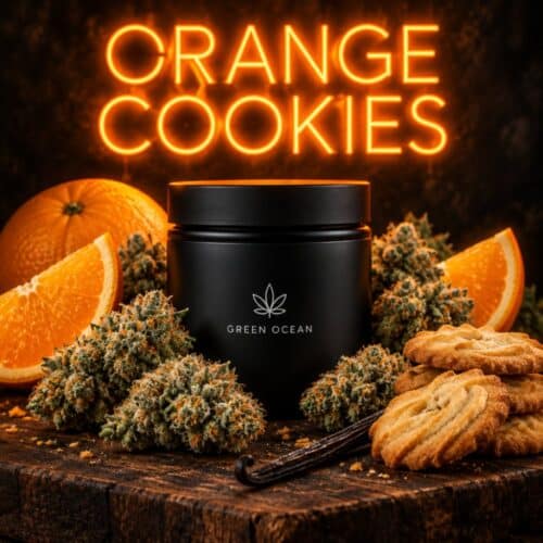 Orange Cookies H3 bei Green Ocean