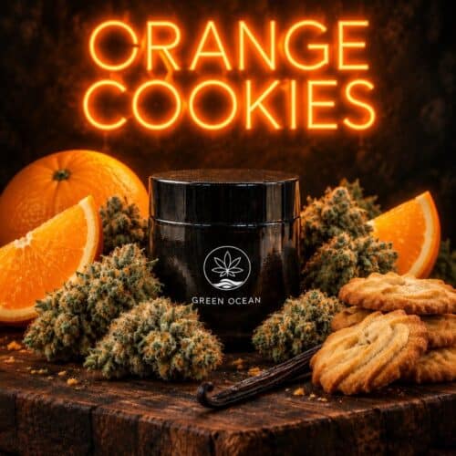 Orange Cookies H3 Blüten im Green Ocean Döschen